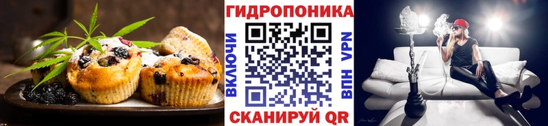 Купить закладки  Курган  Cannafood марихуана 